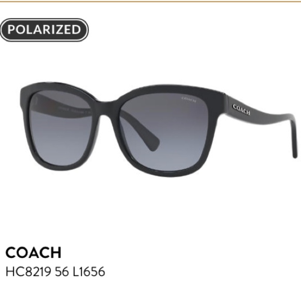 Coach Sunglasses HC8219 56 L1656
